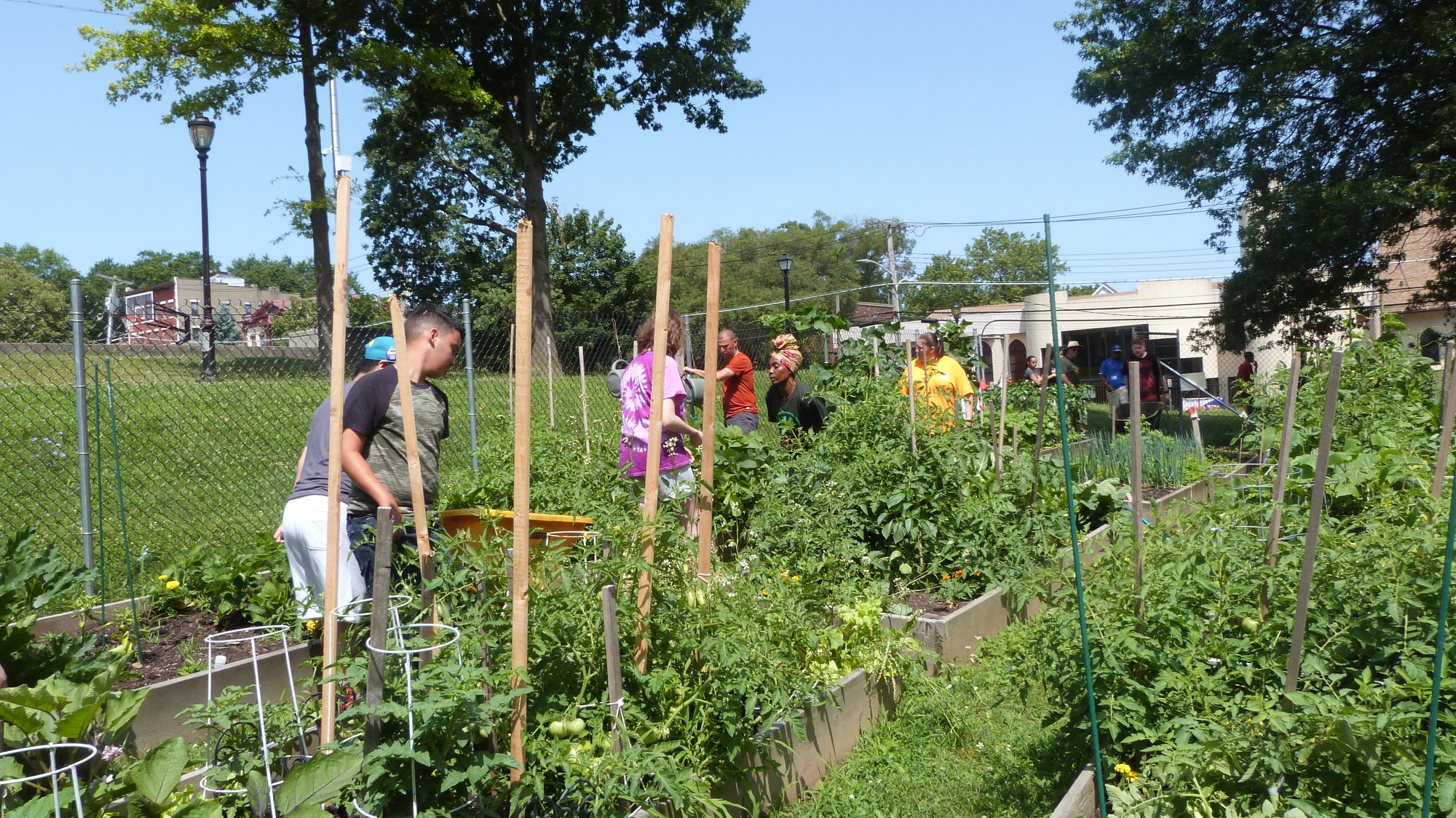 grow garden