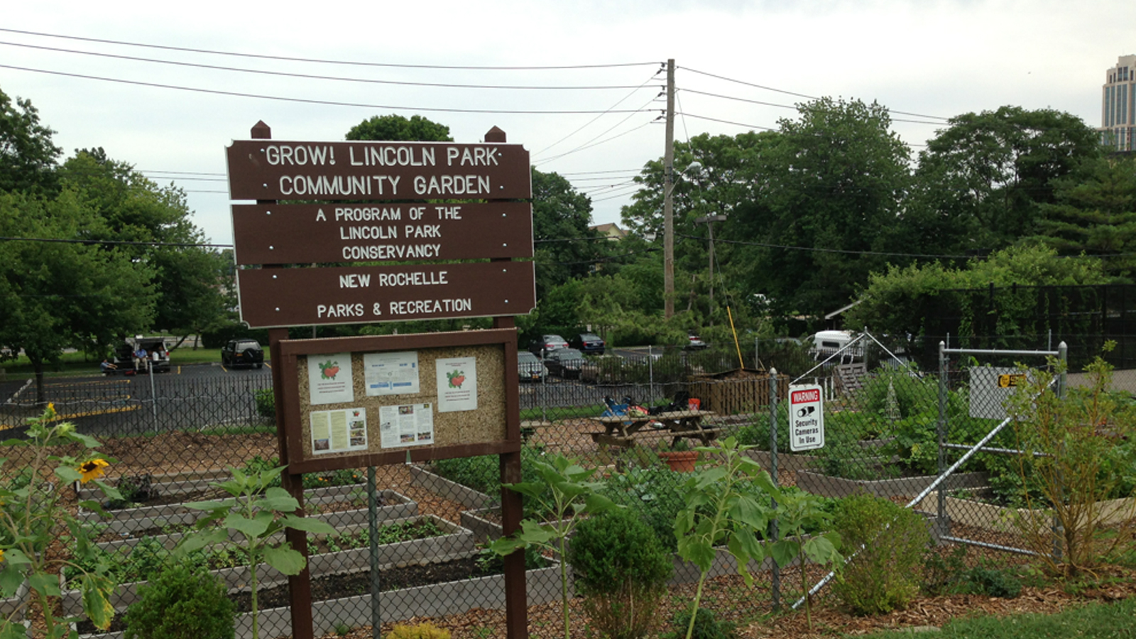 New Rochelle's Garden Grows Out of Desegregation