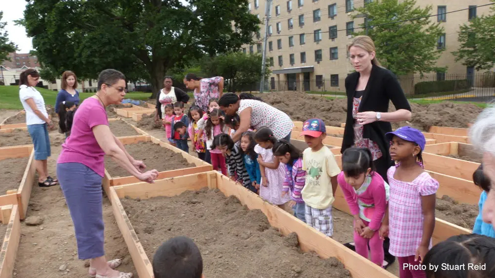 grow! Lincoln Park Community Garden Opens In New Rochelle