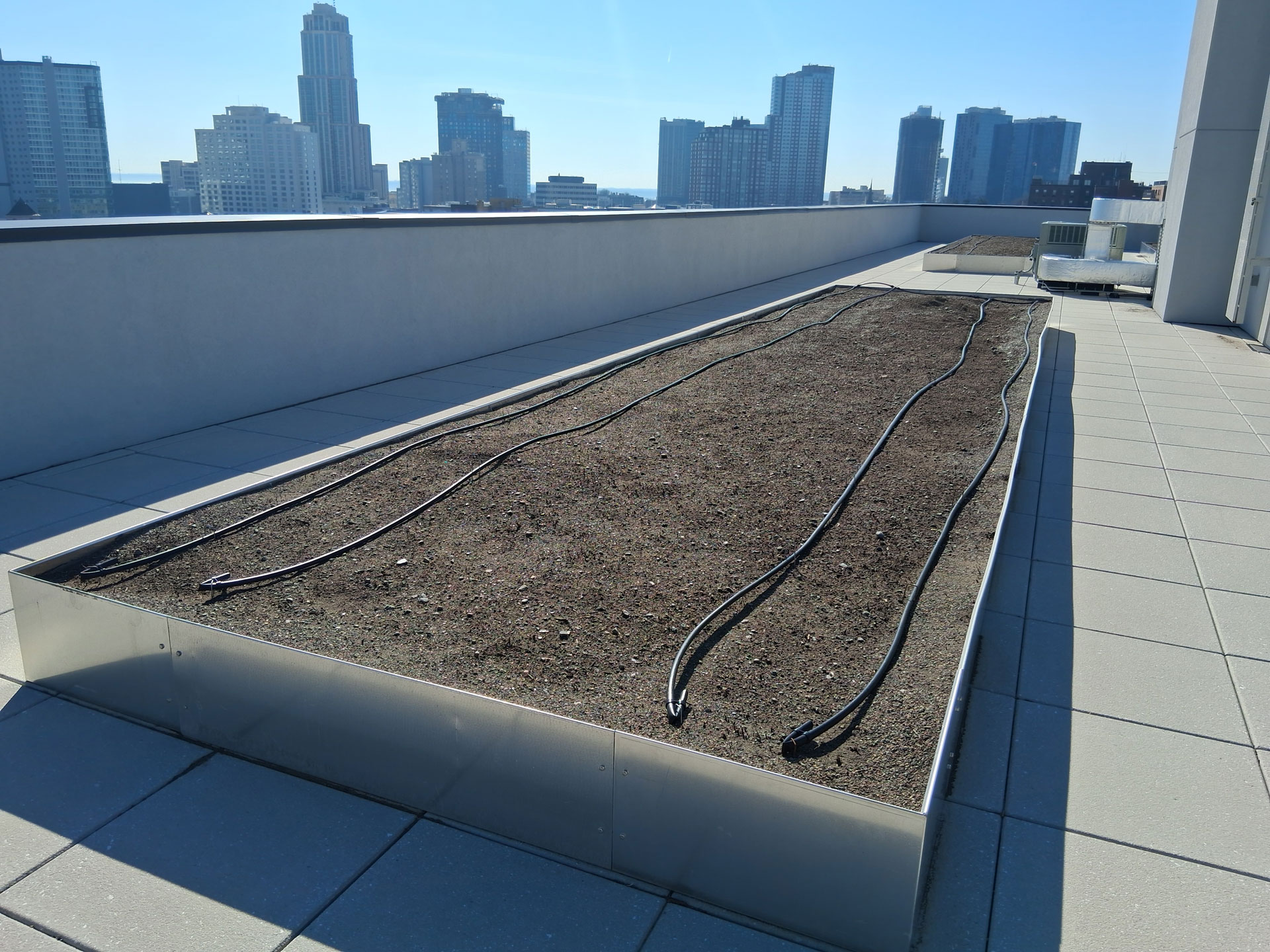 TLPC Rooftop Farm